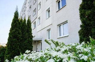 Wohnung mieten in Ferdinand-Von-Schill-Str. 29, 39116 Sudenburg, Sudenburg - Wohnen in angenehm ruhiger Lage