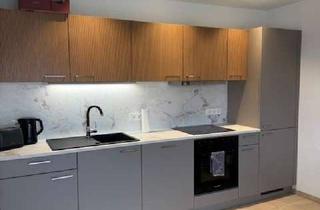 Wohnung mieten in 78056 Villingen-Schwenningen, Schöne, helle, neu renovierte 2-Zimmer Wohnung mit EBK in VS-Schwenningen