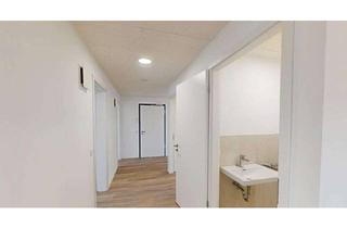 Wohnung mieten in Geltolfinger Rennweg 7a, 94315 Alburg, wunderschöööööne große 3-Zimmer-Wohnun in Straubing-Süd