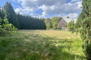 Haus mieten in Schlufter Hauptstraße 21, 16244 Schorfheide, Geräumiges 4,5 Zimmer-Haus in Schorfheide