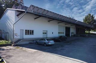 Gewerbeimmobilie kaufen in 94405 Landau, Gewerblich genutzte Werkstatt & Lagerhalle in Zeholfing bei Landau/Isar