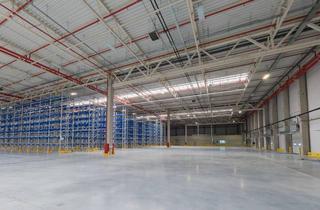 Gewerbeimmobilie mieten in 68519 Viernheim, Logistikhalle - ca. 10.000 m² - Bezug ab Q2 2026 - an der A659