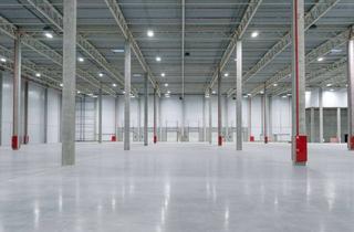 Gewerbeimmobilie mieten in 63505 Langenselbold, Neubaufläche: Rampentore + ebenerdig - AB SOFORT - TOP LAGE