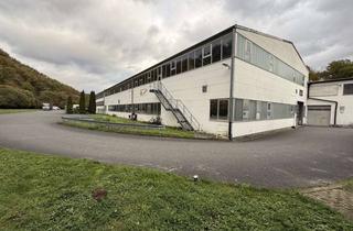 Gewerbeimmobilie mieten in 35789 Weilmünster, Großzügige Lager- und Produktionsfläche mit starker Stromversorgung in Weilmünster