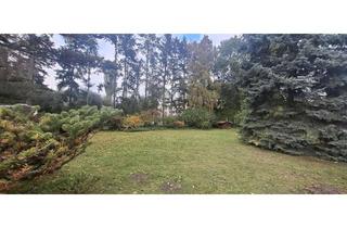 Grundstück zu kaufen in 13591 Staaken, Baugrundstück in Spandau - Staaken für eine Doppelhaushälfte