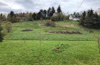 Grundstück zu kaufen in 54597 Ormont, ***Visionäres Baugrundstück mit Expansion-Option – Gesamtfläche bis ca. 1.910 m