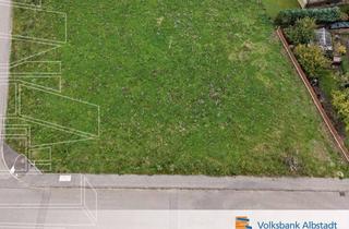 Grundstück zu kaufen in 72474 Winterlingen, Großes Baugrundstück