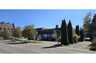 Gewerbeimmobilie mieten in Schwarzwaldstraße 47, 78194 Immendingen, Gewerbliches Bestandsobjekt in zentraler Lage