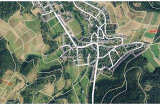 Gewerbeimmobilie kaufen in Am Schwarzen Stein, Stumpf, 35239 Steffenberg, Landwirtschaftsflächen in Obereisenhausen