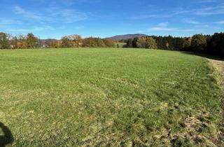 Gewerbeimmobilie kaufen in 94491 Hengersberg, Grundstück in Hengersberg