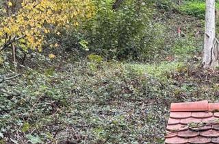 Grundstück zu kaufen in 76829 Leinsweiler, Am Rand des Pfälzer Waldes - Rheinebene vor sich - Auf den Spuren von Max Slevogt - 1 B Lage