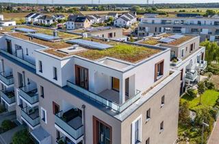 Penthouse kaufen in 76351 Linkenheim-Hochstetten, Licht, Luft & Lebensqualität – Ihr neues Penthouse in Linkenheim-Hochstetten