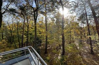 Wohnung mieten in Seepromenade, 14476 Groß Glienicke, Schöne 3-Zimmer-Wohnung im Grünen !