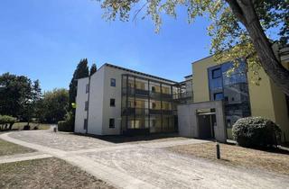 Wohnung mieten in Germaniastr. 11-13, 45356 Bochold, 2-R-Wohnung mit Garten am Park Haus-Berge, barrierefrei und altengerecht