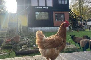 Lofts mieten in Dorfstr. 23, 23992 Passee, Traumhafte Einliegerwohnung/Loft mit Panoramablick