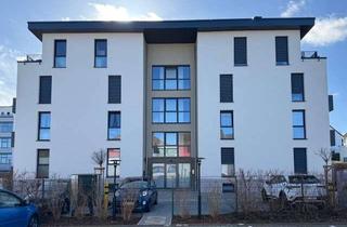 Wohnung mieten in 64354 Reinheim, Moderne 2-Zimmer-Wohnung in der Mitte von Reinheim mit EBK