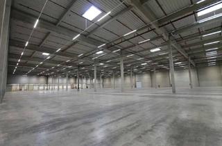 Gewerbeimmobilie mieten in 85232 Bergkirchen, Lager-/Logistikfläche mit 10 LKW-Docks zu vermieten