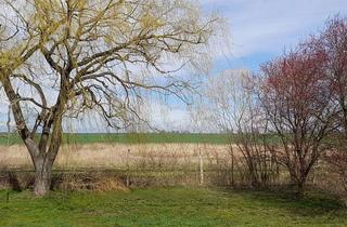 Grundstück zu kaufen in 14662 Mühlenberge, Ihr Rückzugsort inmitten der Natur – 800 m² für Ihre Vision - provisionsfrei