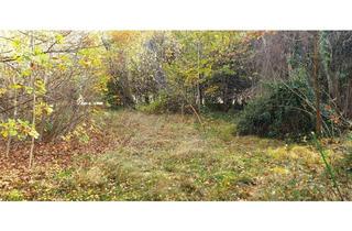 Grundstück zu kaufen in 65527 Niedernhausen, Attraktives großes Baugrundstück in privilegierter Wohnlage