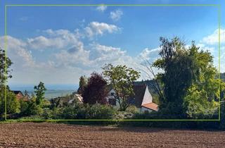 Grundstück zu kaufen in 67271 Battenberg, Ein Ort für Neuanfänge - ruhig, offen, unaufgeregt