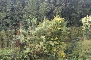 Wohnung mieten in 42115 Wuppertal, 1-Zimmer Appartment, schön aufgeteilt -mit Einbauküche- zu vermieten