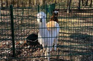 Grundstück zu kaufen in 29392 Wesendorf, Bauträgerfreie Grundstücke - erschlossen - sofort bebaubar!