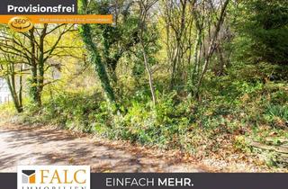 Immobilie kaufen in 56588 Waldbreitbach, Umgeben von Wäldern - Baugrundstück in Waldbreitbach!