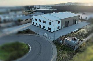 Büro zu mieten in 63546 Hammersbach, Attraktive Ausstellungs- & Lagerfläche inkl. Büro, ca. 260 m² Lager und 140 m² Büro zu vermieten