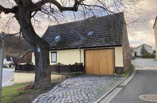 Einfamilienhaus kaufen in 06636 Laucha, Laucha an der Unstrut - Einfamilienhaus + Großgarage im schönen Tröbsdorf.