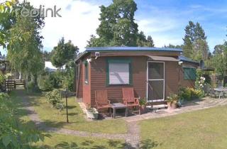 Haus kaufen in 38559 Wagenhoff, Wagenhoff - Ferienhaus ab Frühjahr 2026