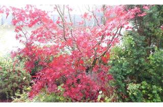 Haus kaufen in 78050 Villingen-Schwenningen, Villingen-Schwenningen - Großzügiger Bungalow mit tollem Grundstück