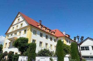 Wohnung mieten in Aistegstraße 34, 88046 Friedrichshafen, Modernisierte 2-Raum-Wohnung mit Balkon und Einbauküche in Friedrichshafen