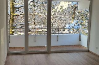 Wohnung mieten in 69126 Boxberg, Großzügige, helle 2-Zimmerwohnung mit Balkon