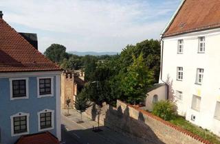 Wohnung mieten in Albrechtsgasse 47, 94315 Straubing, 2 Zi-Wo Zentrum Straubing Blick Donau mit Dachterrasse