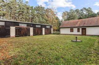 Haus kaufen in 14822 Borkwalde, Gemütliches Kleinhaus mit viel Nebengelass und Pool auf großem Grundstück