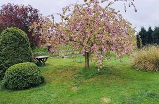 Haus kaufen in 23942 Dassow, Anwesen mit B-Plan in der Lübecker Bucht