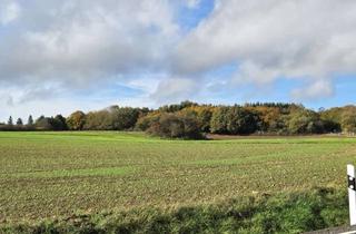 Haus kaufen in 53945 Blankenheim, Traumanwesen in der Eifel - Historisches Wohnhaus mit Pferdehaltung, Wald und Wiesen !!!