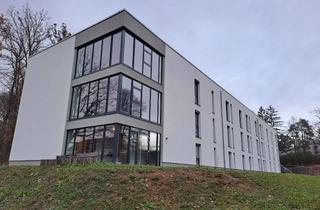 Wohnung mieten in 55768 Hoppstädten-Weiersbach, Vollmöbilierte Einzimmerwohnung in Hoppstädten-Weiersbach