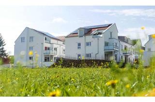 Wohnung mieten in Schorndorfer Straße 53/1, 73614 Schorndorf, Helle, Moderne 2 Zimmer Wohnung inkl. EBK zu vermieten