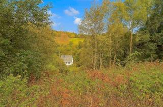 Grundstück zu kaufen in 59955 Winterberg, Attraktives Hanggrundstück mit Panoramablick in Winterberg-Silbach