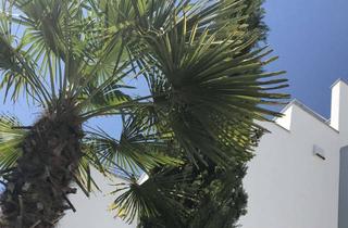 Immobilie mieten in 88718 Daisendorf, Wunderschöne 4-Z-Wohnung mit gehobener Ausstattung in Daisendorf