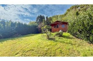 Haus kaufen in 31737 Rinteln, Rinteln Hohenrode - PARADIES MIT GARTENHAUS, TEICH UND VIEL FREIRAUM