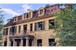 Villa kaufen in 01904 Neukirch, Neukirch/Lausitz - Villa Grundstück NeukirchLausitz mit Brandschäden zu Verkaufen