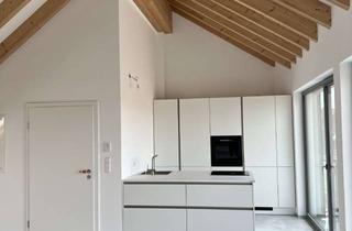 Wohnung mieten in Ludwigstraße 3a, 76767 Hagenbach, Erstbezug Dachgeschoss-Wohnung mit Balkon in Hagenbach