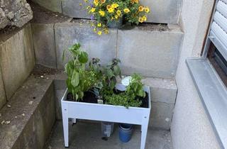 Wohnung mieten in 78652 Deißlingen, Schöne 1-Zimmerwohnung zu vermieten