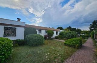 Haus kaufen in 55127 Lerchenberg, Verstecktes Gartenjuwel in Mainz-Lerchenberg – gepflegter Bungalow, voll unterkellert