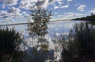 Haus kaufen in 15926 Luckau, Idyllisches Landhaus mit Baugrundstücken nahe des Schlabendorfer Sees.