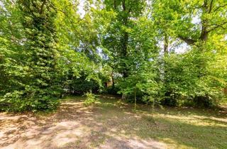 Grundstück zu kaufen in 15345 Rehfelde, Bauträgerfreies und erschlossenes Grundstück - Zentrumsnah in ruhiger Lage von Rehfelde