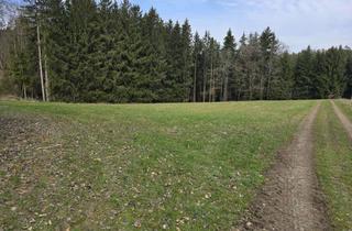Grundstück zu kaufen in 94529 Aicha, Landwirtschaftliche Grünfläche mit öffentlichem Zufahrtsweg