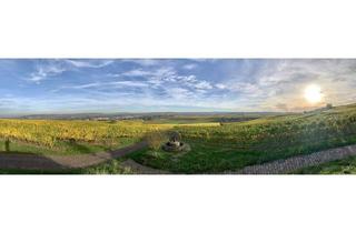 Grundstück zu kaufen in Weinbergstraße, 55452 Laubenheim, Premium-Baugrund 1.116 m² in Laubenheim – Feldrand, Fernblick, großzügiges Baufenster